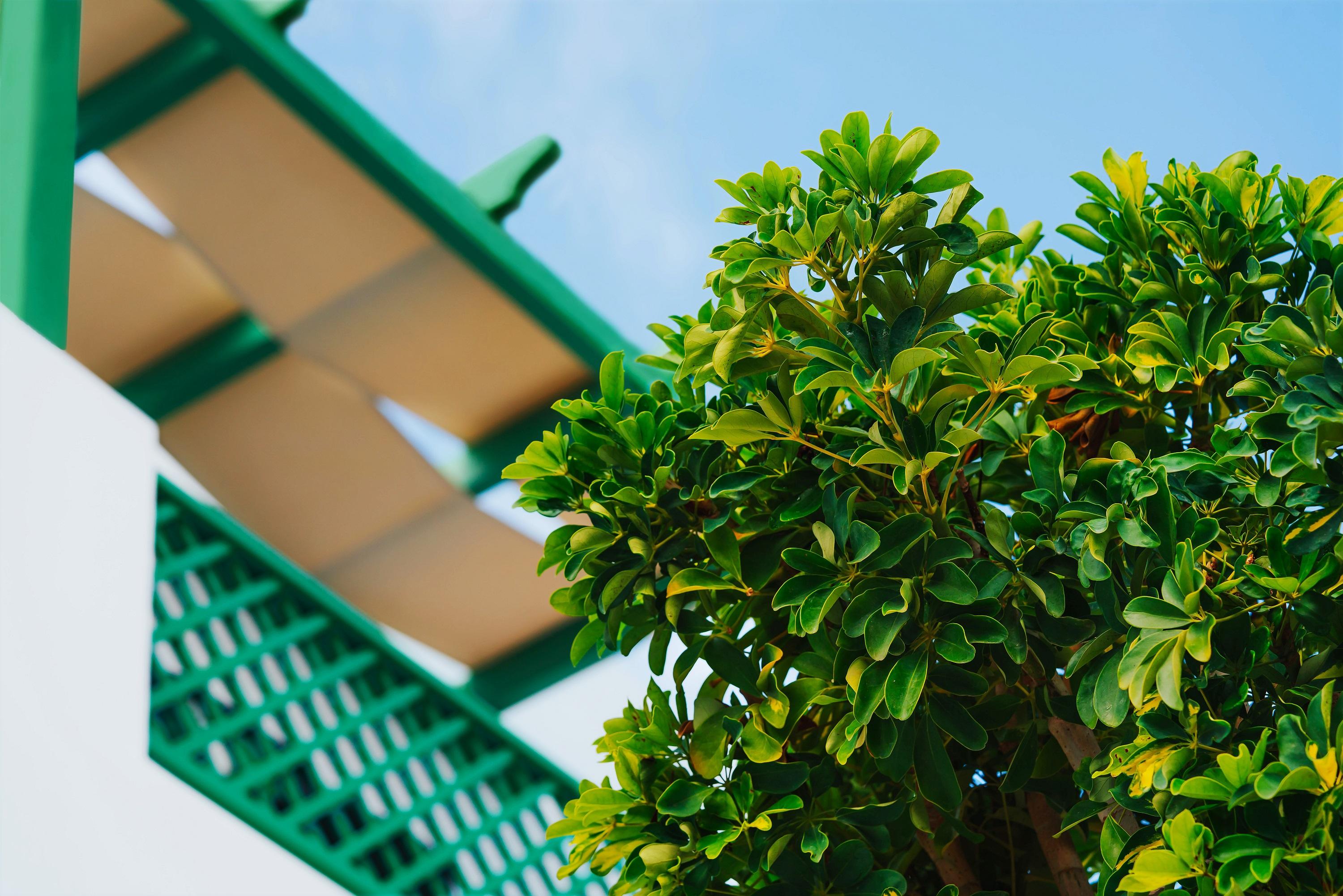 Aelia Apartments & Suites Livadi  Ngoại thất bức ảnh